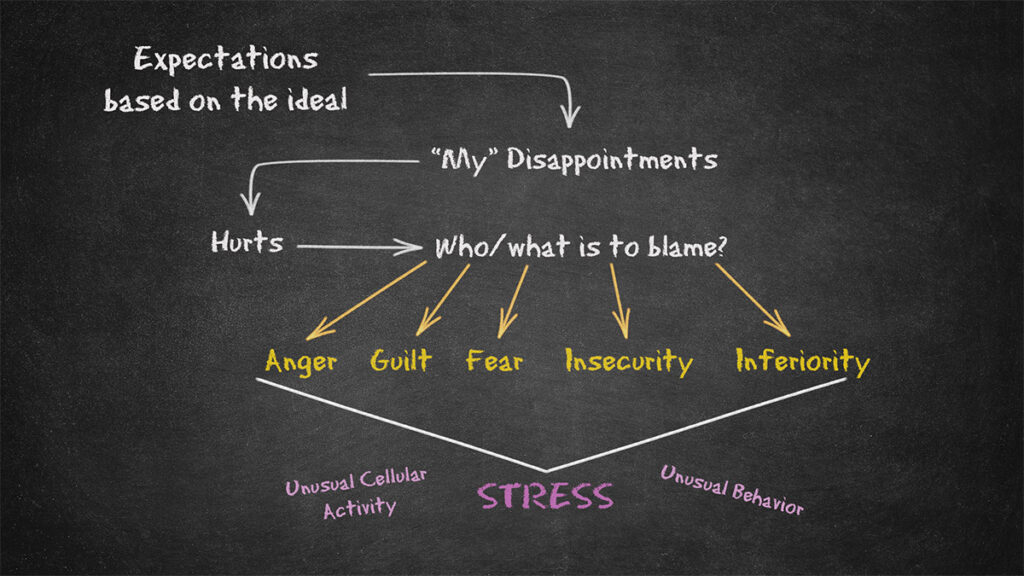 Self-Observation and The Viscious Cycle | Fourth Way School | Rhondell Gibson